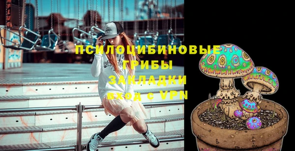 прущая мука Богданович