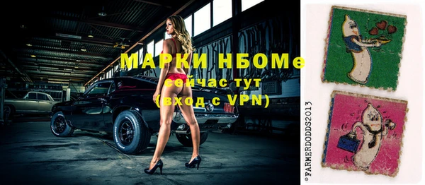 хмурый Богородицк